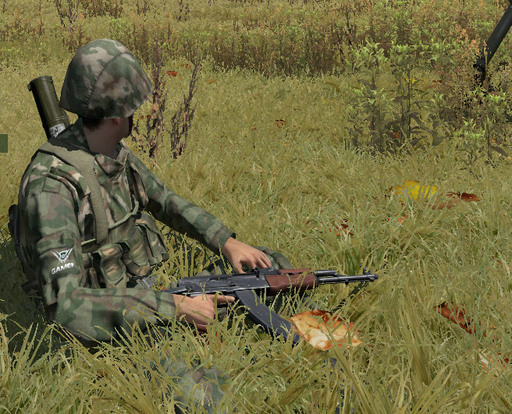 ArmA 2: Тактика современной войны - GAMER.ru отправляется в Черноруссию. Внедряем свое лого и заполняем личные данные для мультиплеера